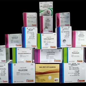 Lynch Medical Services LTD